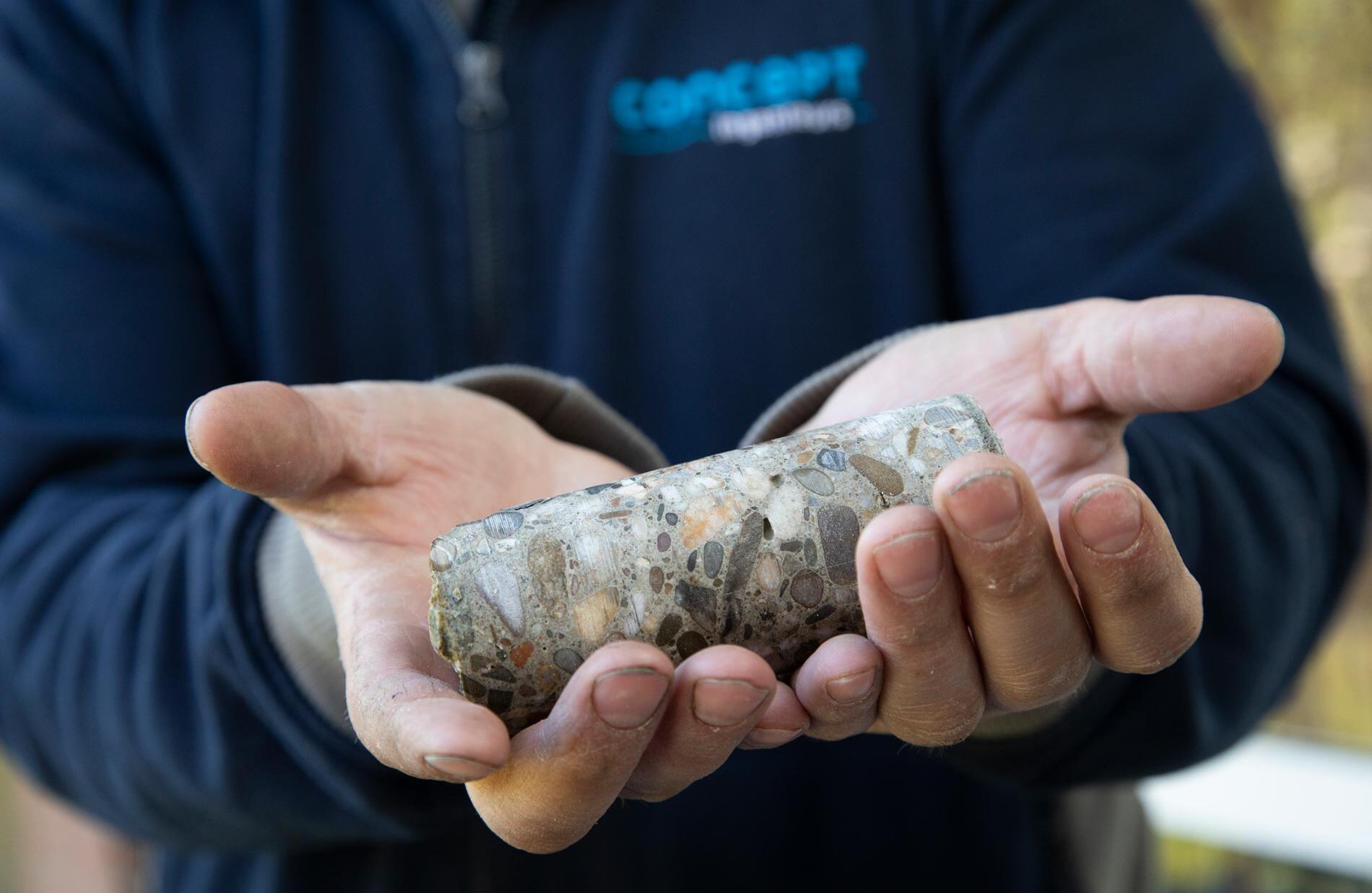 202_2020_Zutphen_Babberich_019 202_2020_Zutphen_Babberich_019.jpg